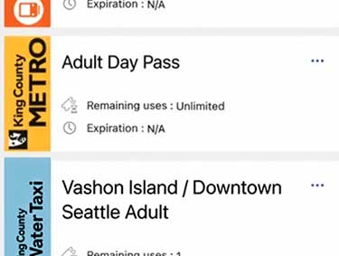 Transit GO Ticket Use section of the app