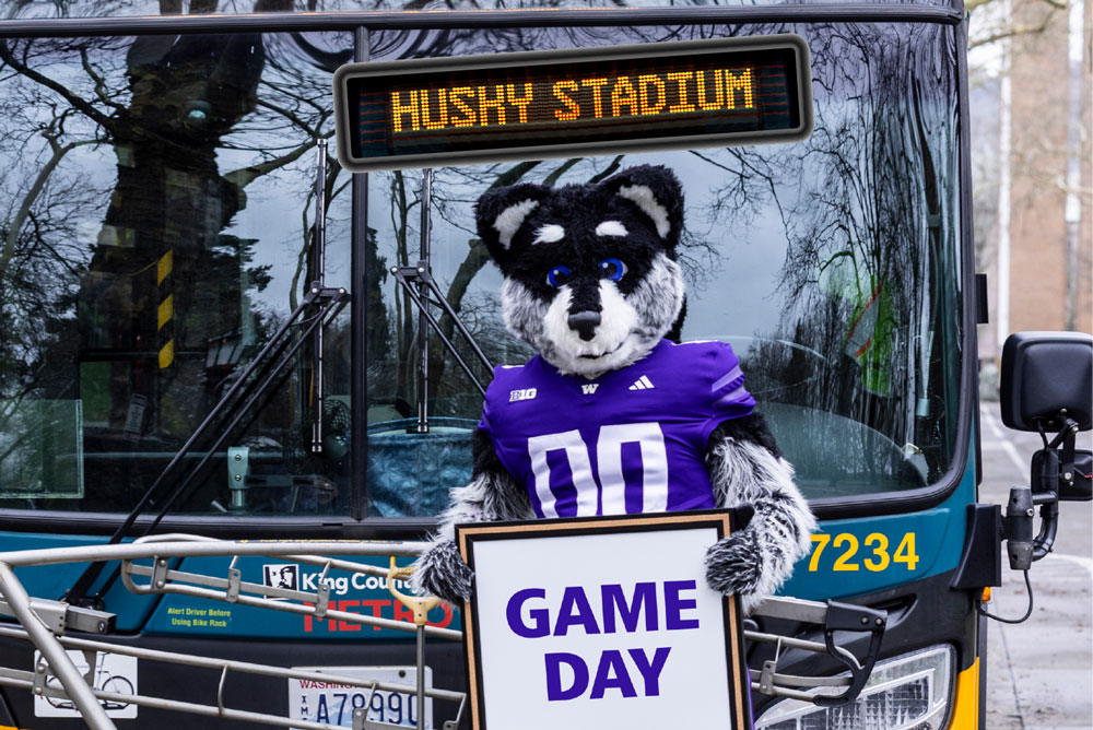 Harry the Husky, the University of Washington mascot, holds a sign that says 'Game Day' while standing next to a King County Metro bus.