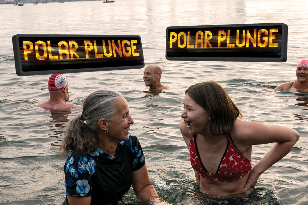 A group of people jump into the puget sound as the West Seattle Water Taxi floats behind them.
