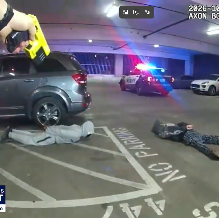 2 juvenile car thieves arrested in Angle Lake