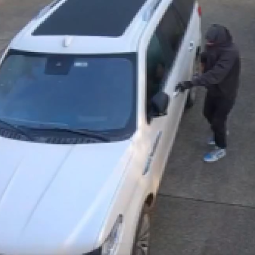 K-9 Duke captures car thief