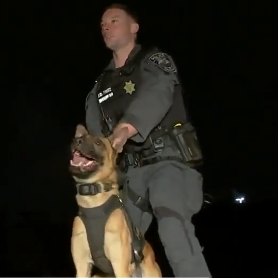 K-9 and Handler during training exercise