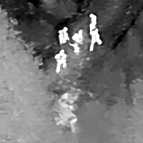 Thermal image of 5 people from drone 
