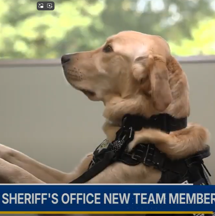 King County's Sheriff's Office K9 Mouse