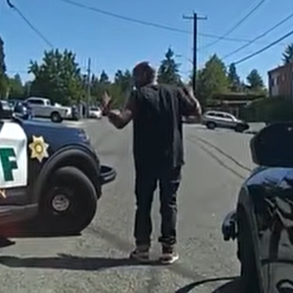 Arrest of man who pointed gun at detective