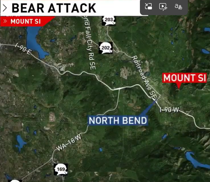 Bear attack Mt Si