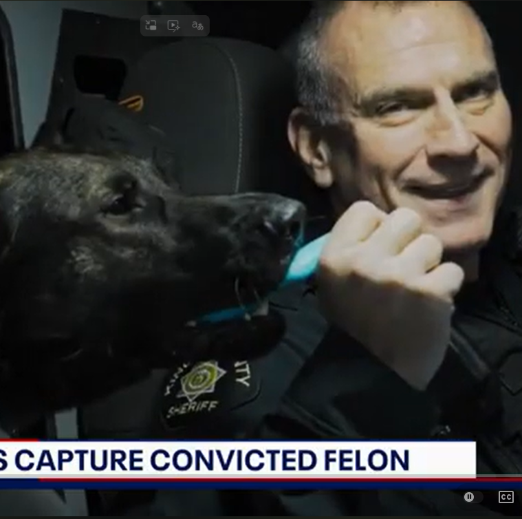 K-9 Beau and handler in patrol vehicle