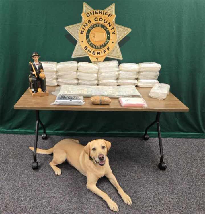K-9 Quinn with another drug bust