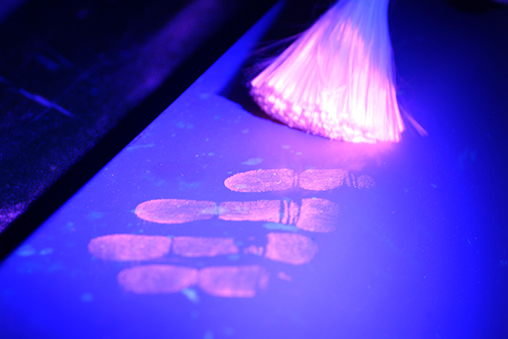 Fingerprint dusting