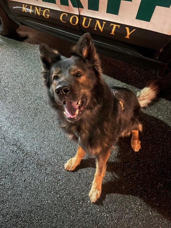 K9 Chuck