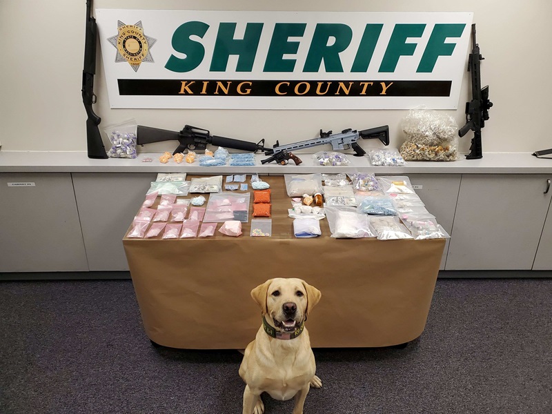 K9 Quinn KCSO