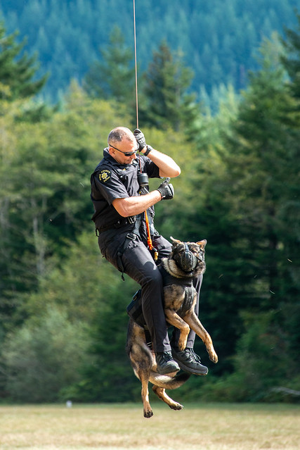 K9 and deputy repelling from helicopter