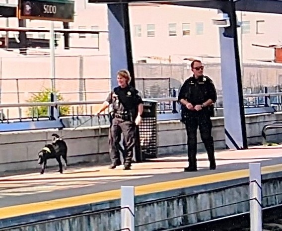 BDU K9