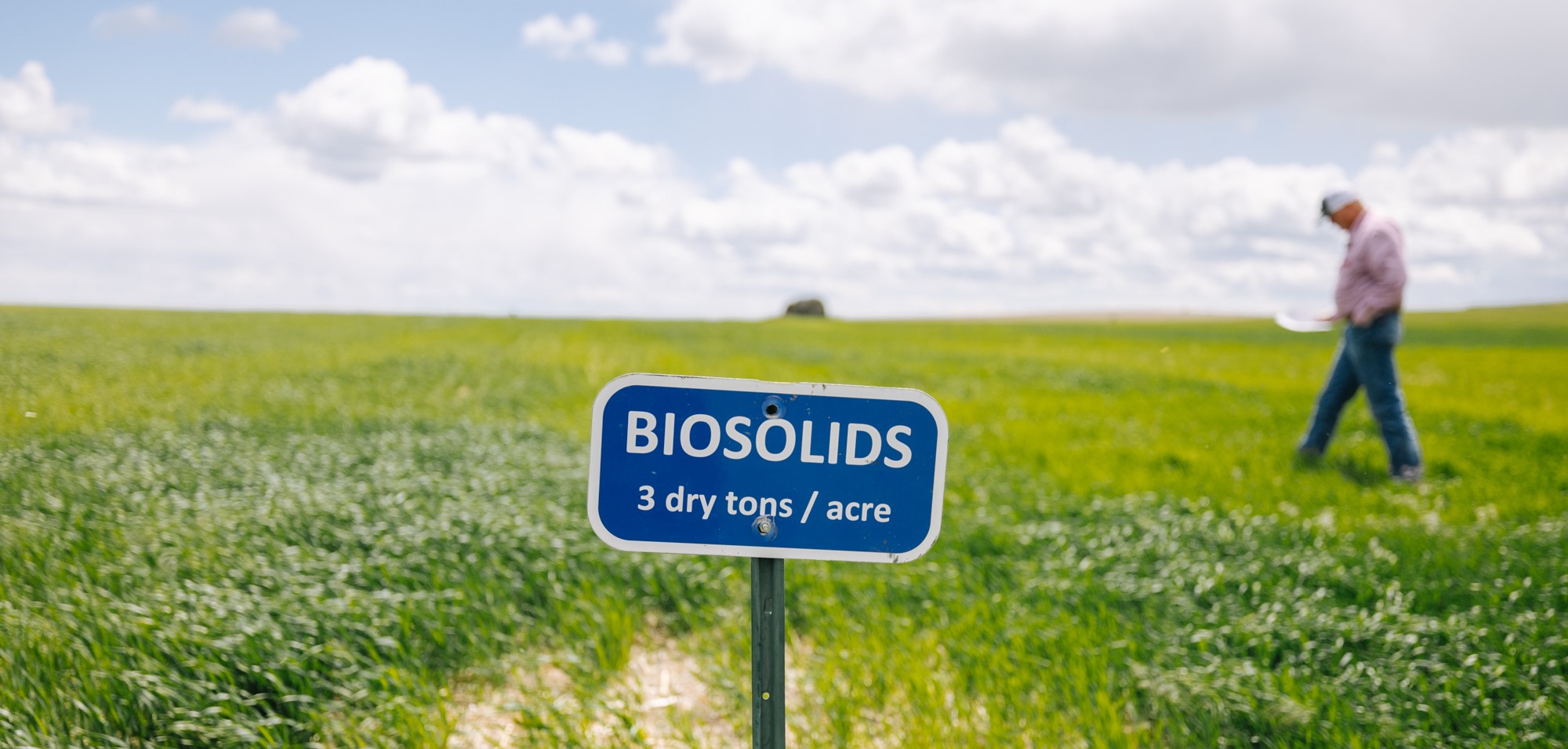 Biosolid test plot in Mansfield, Washington