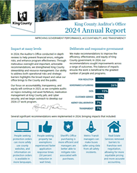 Screenshot of annual report