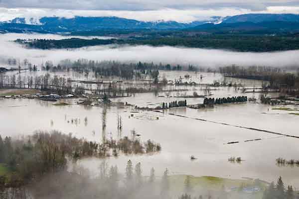 Flooded King County landscape