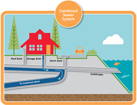 Graphic depicting a combined sewer system