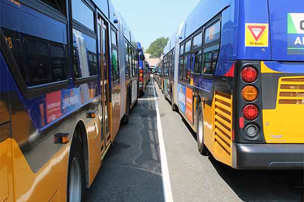 Photo of Metro Buses in rows.
