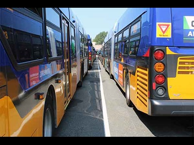 Rows of parked Metro buses