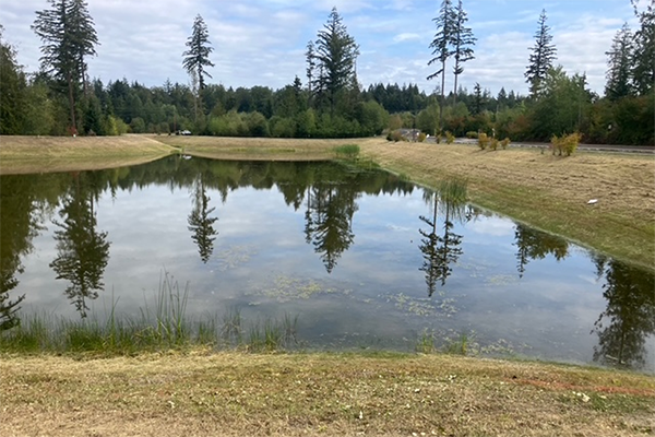 Pond created from stormwater.