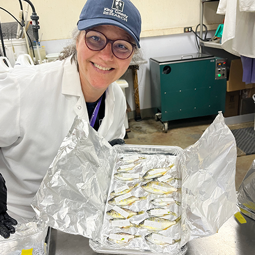 A smiling person wears a white lab coat, glasses, and a King County hat while standing beside a tray of fish used for contaminants monitoring.