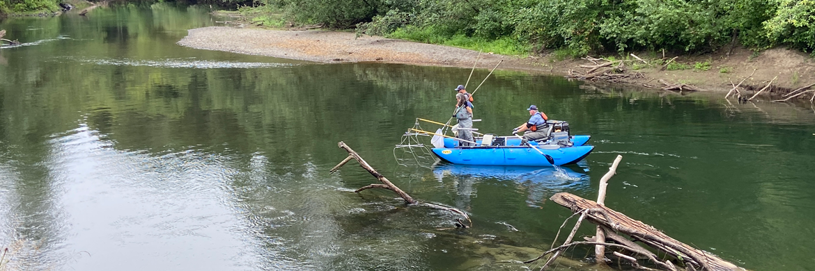 Three people in a small blue boat on a calm river. Two are holding fish nets while the third rows.