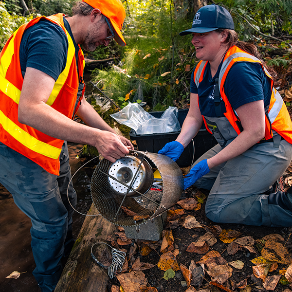 Two people in orange work vests handle a water monitoring device beside a stream.