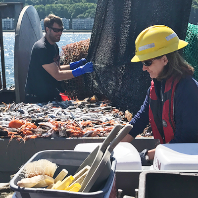 A person in a yellow hard helmet beside a large platform of fish on a boat. A person in the background holds onto a large suspended net.