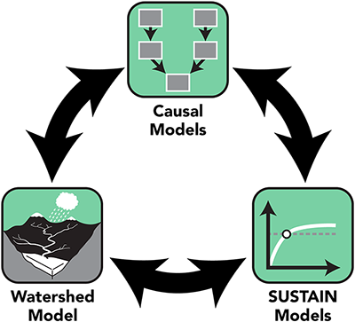 A graphic indicating that causal models, watershed models, and SUSTAIN models interact with and inform each other.