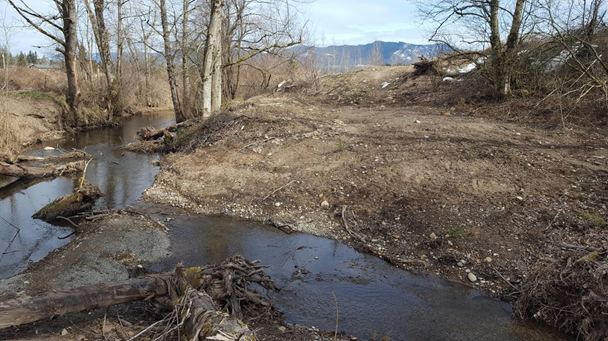 Middle Boise Creek after habitat restoration project