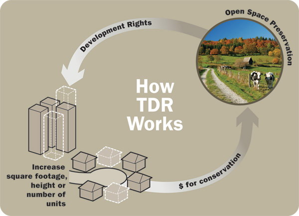 How TDR Works