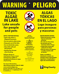 Green Lake toxic algae warning sign