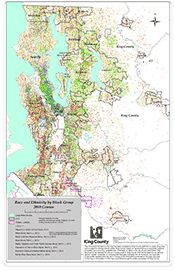 Census 2010 Race and Ethnicity map (click for preview: 165Kb GIF)