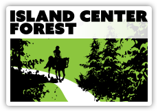 Island Center Forest thumbnail image